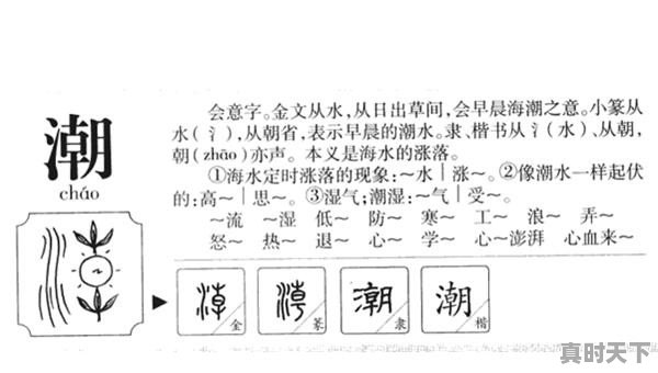 潮汕气温多少度，潮阳区天气 - 真时天下