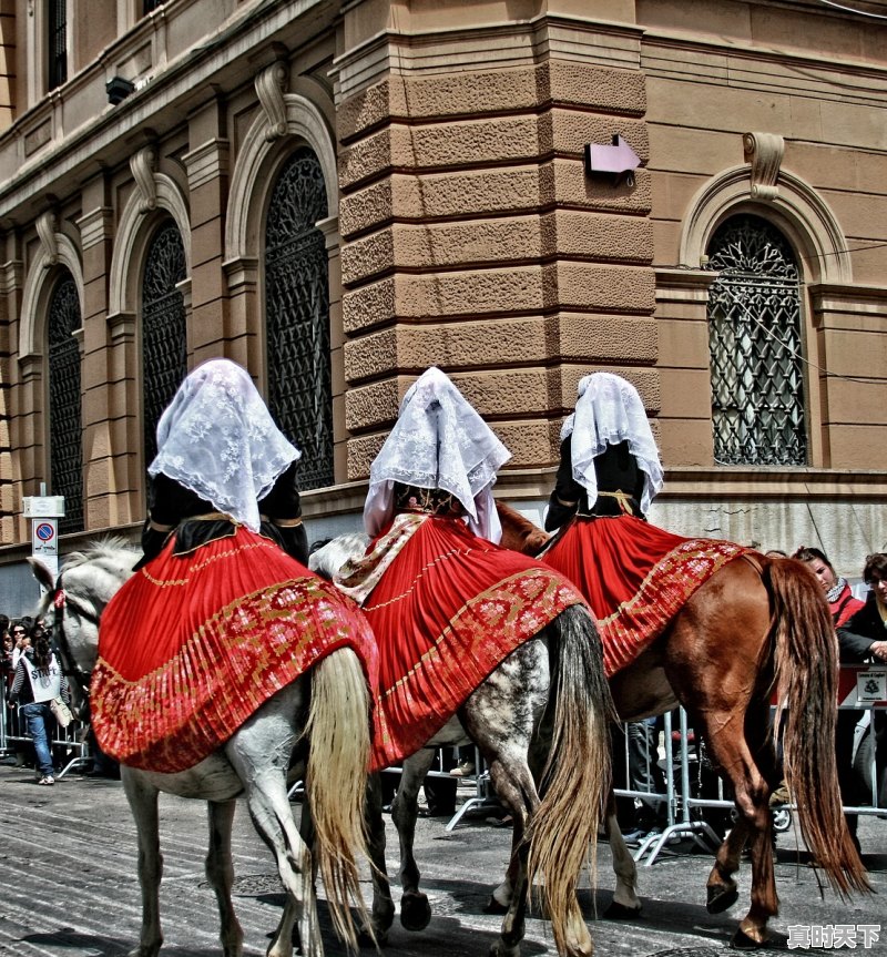 1、强森2021年最新电影踢墓碑,强森2021年最新电影踢墓碑 - 真时天下