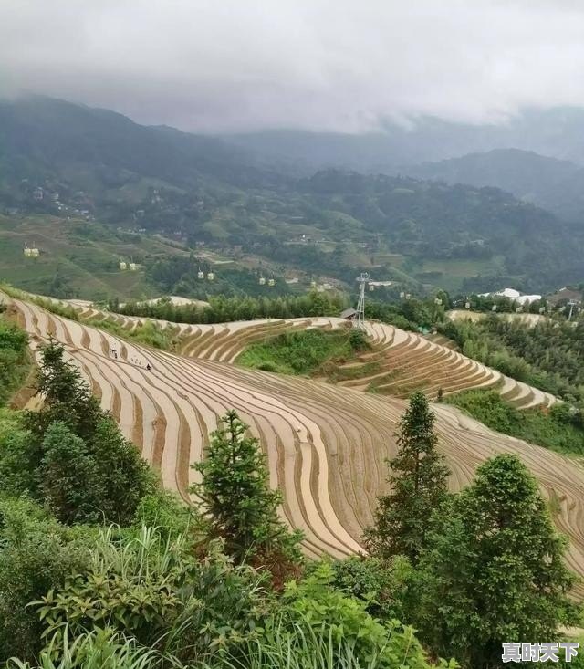 1、水井坊和梦之蓝和1573哪个就更好,股票群卖酒,盛世典藏 - 真时天下