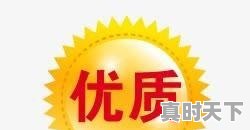 安徽2021年中考特长生政策_科技创新政策系列 - 真时天下