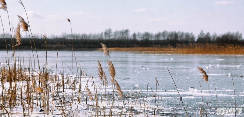 1、小寒的天气特点_2023年大寒天气情况 - 真时天下