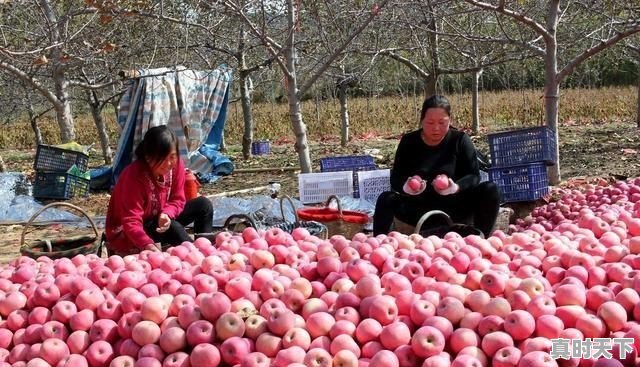 耀县到陈炉一级公路啥时开工，耀州区天气 - 真时天下