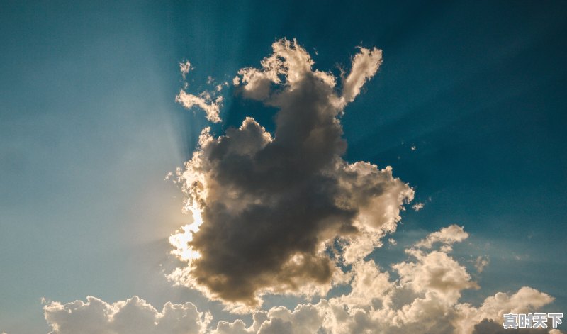 1、释行宇全部电影,2022年甄子丹拍的最新电影叫什么名字来着 - 真时天下