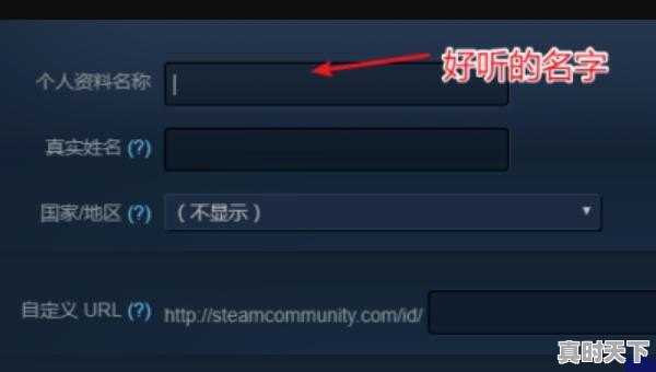 steam怎么改昵称_和平精英名字不可以加标点吗 - 真时天下