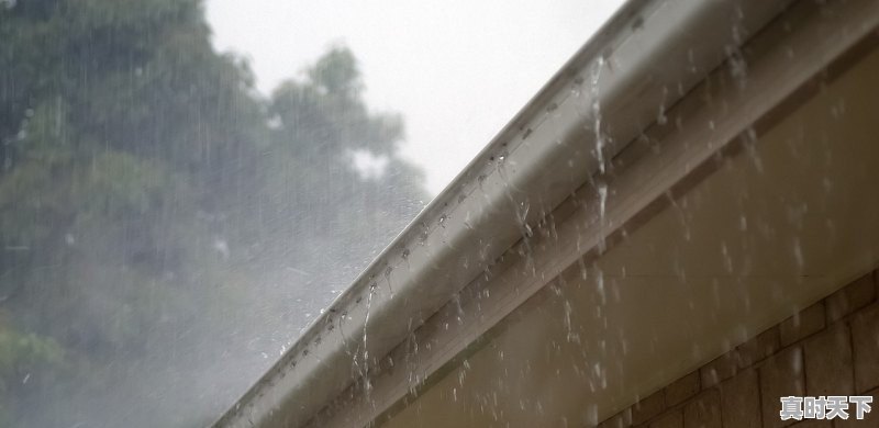 甘肃陇南地区大暴雨的准确地址,陇南的天气 - 真时天下