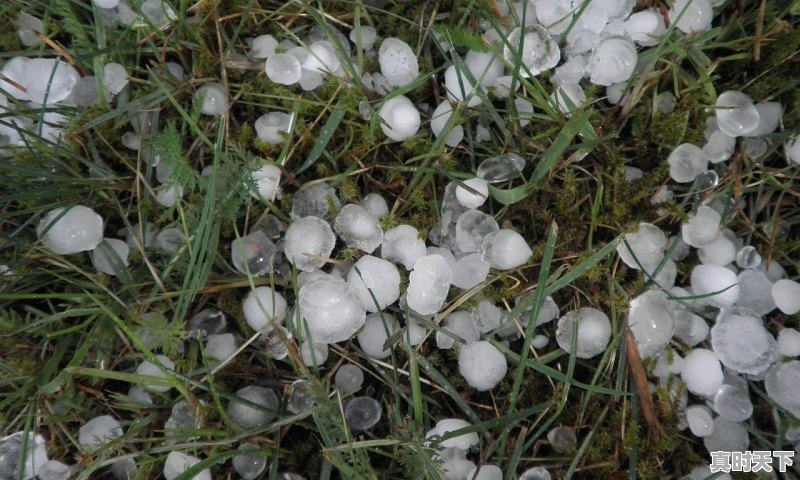1、沈阳天气未来三天有冰雹吗,沈阳天气实时 - 真时天下