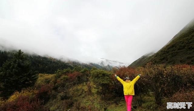 甘肃最冷的地方是零下多少,金塔县天气 - 真时天下