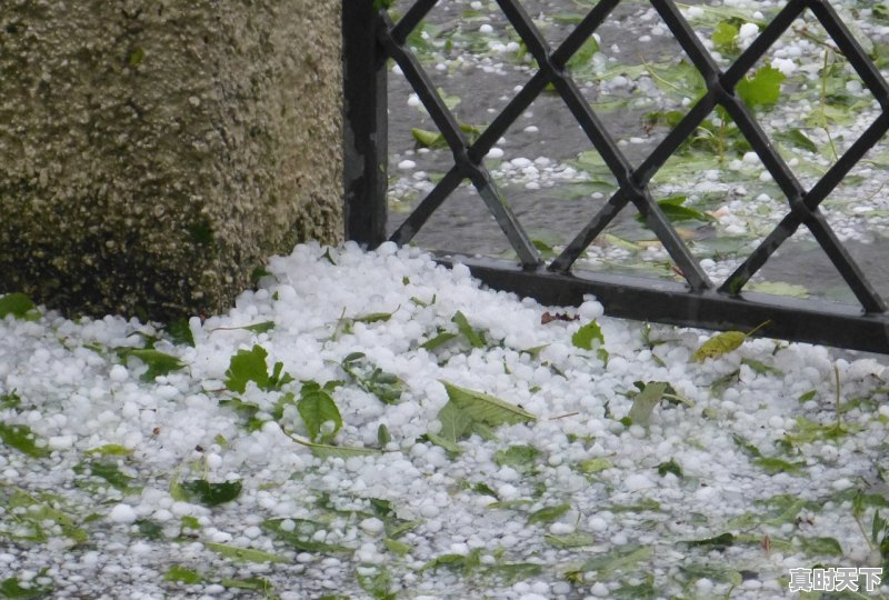 西峡属河西南部吗河南二十三号有雨吗_河南南阳下冰雹了吗 - 真时天下