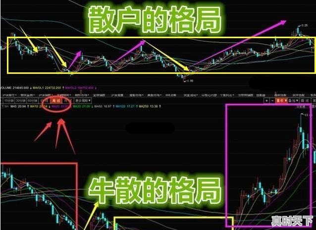 电脑看盘基础知识，股票新手看盘入门技巧 - 真时天下