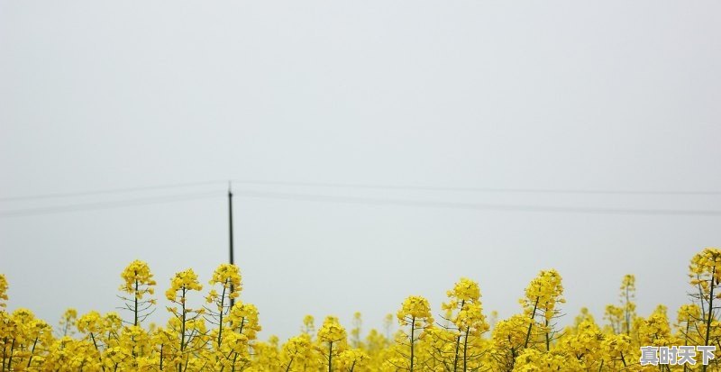 桐柏县遭强降雨2005年几月几日,桐柏县天气 - 真时天下