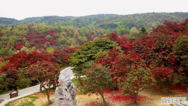 四川洪雅避暑攻略_天气热峨眉半山七里坪避暑休闲怎么样 - 真时天下