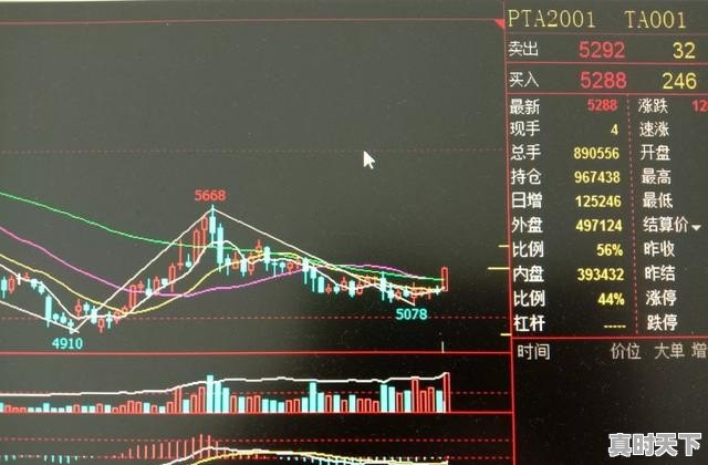 不能向普通人售卖原始股吗_普通人能不能开加油站 - 真时天下