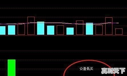 我发现炒股真的很复杂，有没有比较简单易懂的炒股学习平台推荐，股票投资快速入门第十讲 - 真时天下