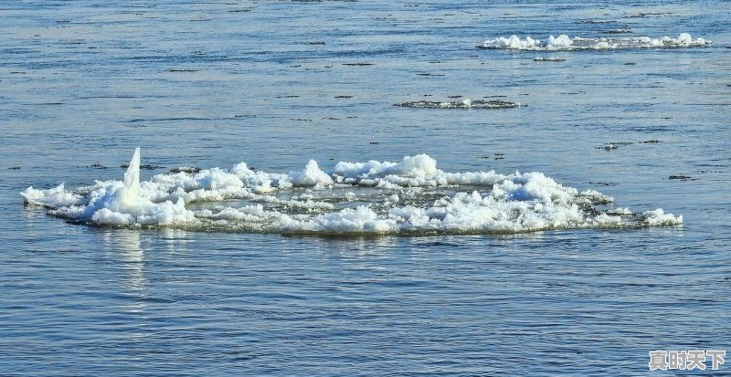 1、东海四季温度的垂直变化,东海的天气 - 真时天下