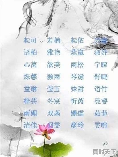 2、好听的游戏id名字_谁告诉我几个好听有含义的游戏名字 - 真时天下