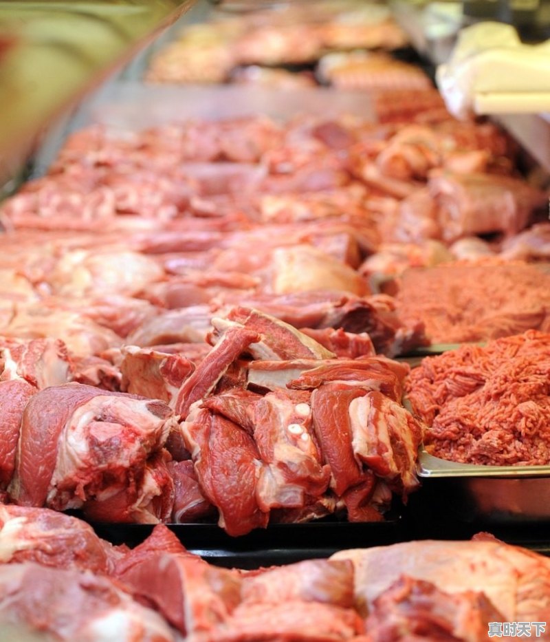 1、为什么山东临沂市猪肉这么多,今日山东临沂生猪价格 - 真时天下