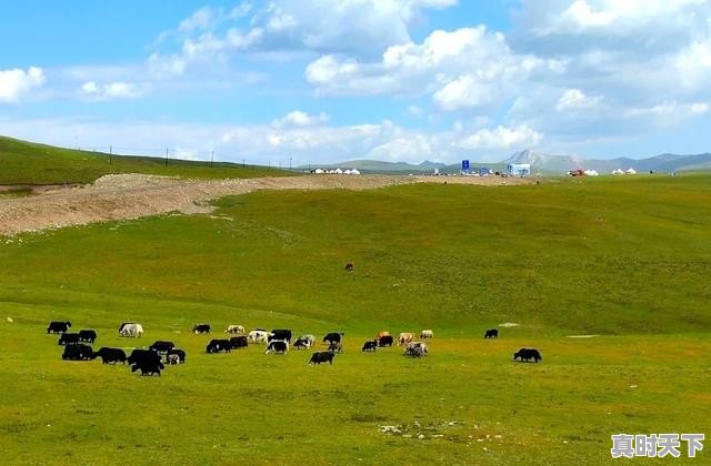 巴音布鲁克8月穿什么_为什么巴音布鲁克水浑浊 - 真时天下