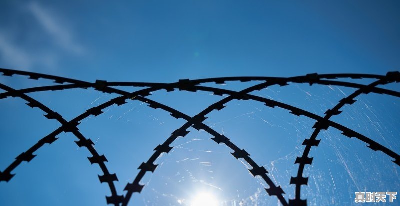 1、为什么说军事理论的创新发展是信息化战争产生与发展的重要推动力量,推进科技创新提高创新能力 - 真时天下