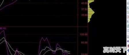 初学者炒股入门20个基础知识，股票知识点汇总 - 真时天下