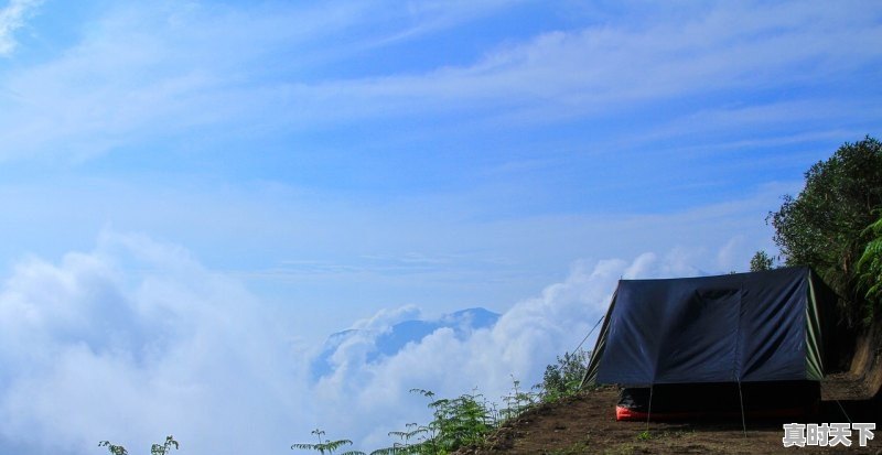 1、霞浦为什么盛产海带_什么季节去福建霞浦旅游最好？都有什么内容 - 真时天下