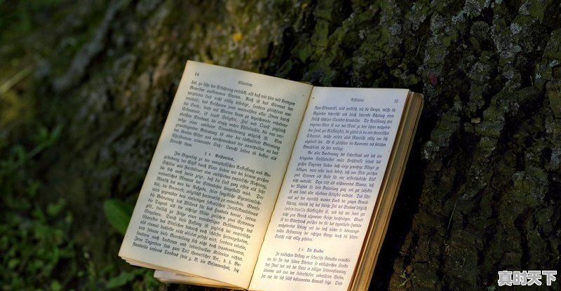 1、六年级上册第14课 在柏林的主要内容_在柏林用小标题概括 - 真时天下