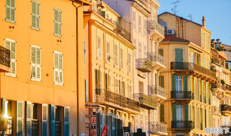 1、2023今年戛纳红毯有举办吗,28届红地毯电影节在哪举行 - 真时天下