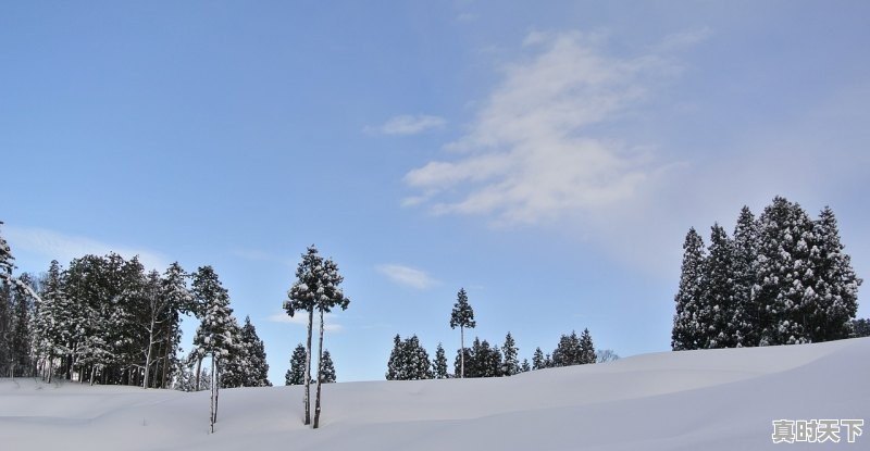 景德镇的天气在冬天会下雪吗，景德镇市天气 - 真时天下