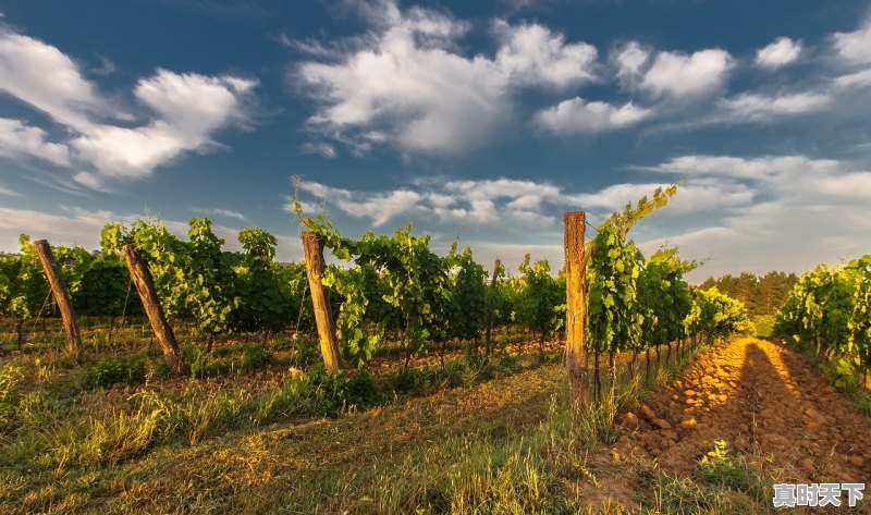 1、西北大环线8月天气如何，祁连县天气 - 真时天下
