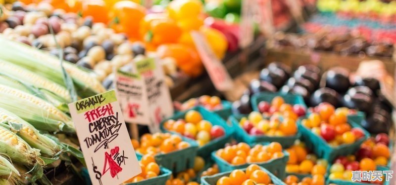 1、2022电影院上映的电影，最新电影2022年上映大片推荐表 - 真时天下