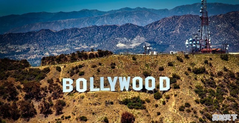 1、2021十大好莱坞电影票房排行榜，最新电影票房排行榜20218月12日 - 真时天下