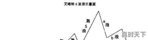 坪山区政务服务数据管理局主要做什么，深圳市坪山区科技创新局 - 真时天下