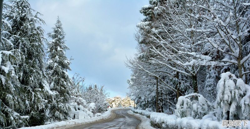 2022北京下周有中到大雪天气吗，最近一星期的天气 - 真时天下