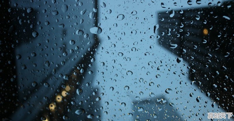 沈阳市今天的天气有雨吗_沈阳明早路上会有冰吗 - 真时天下