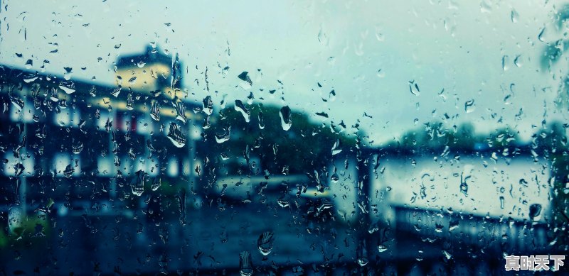 1、德州今天有雨吗，今日德州天气 - 真时天下