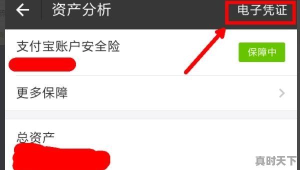 支付宝如何开资产证明支付宝收入流水证明怎么办，出国股票资产证明怎么开 - 真时天下