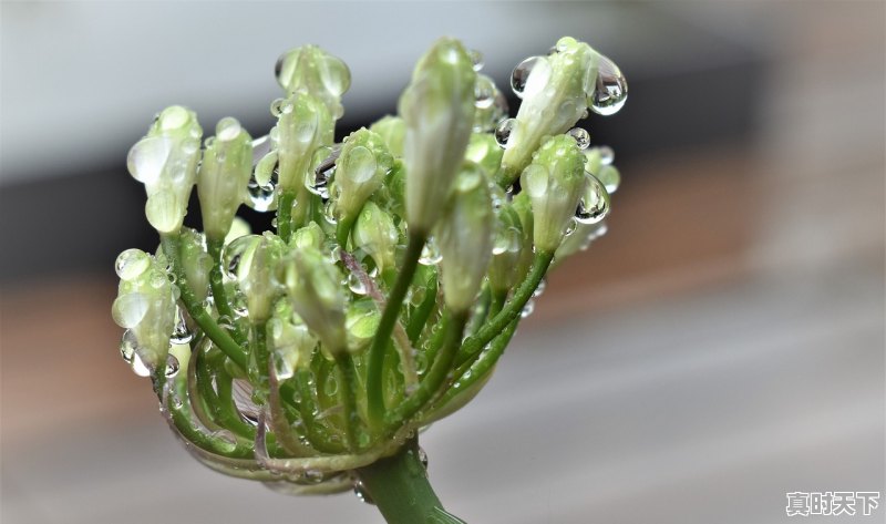 百花奖几年一次,电影节颁奖典礼几个小时一次啊 - 真时天下