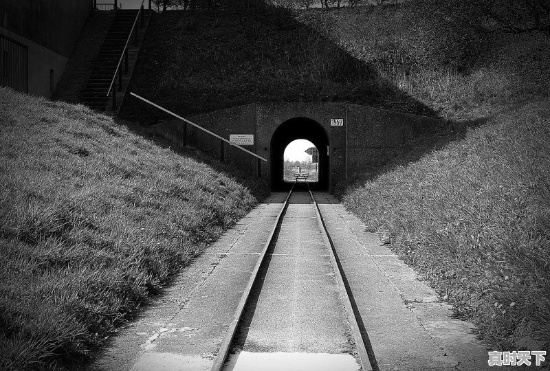 1、2021盗墓电影排行榜前十名,最新电影盗墓上映的有哪些 - 真时天下