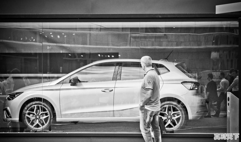 1、2016年戛纳国际电影节影帝影后，a类电影节影帝影后有哪些人 - 真时天下