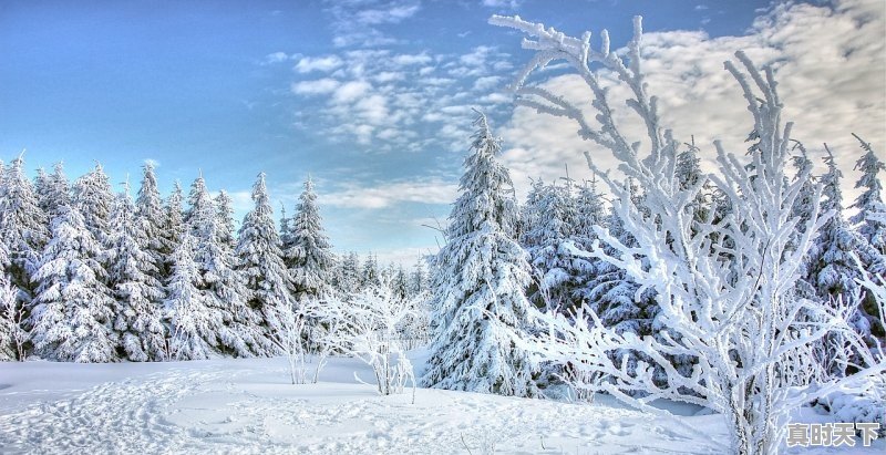 1、福建三明冬天冷吗,宁化县天气 - 真时天下