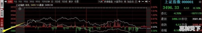 今日柴鸡价格走势,今日柴鸡价格走势 - 真时天下