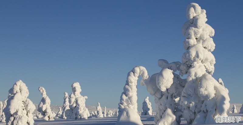 2021年河北第一场雪在什么时候_保定涞源天气 - 真时天下