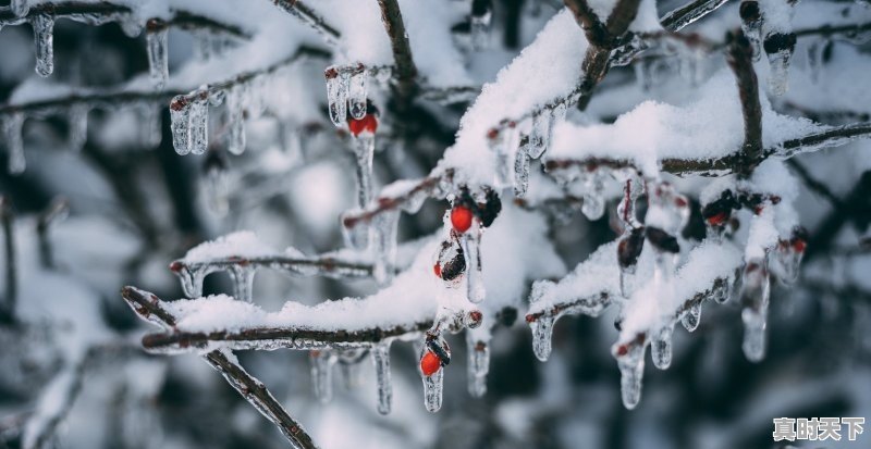 新乡下大雪了吗，新乡今天天气 - 真时天下