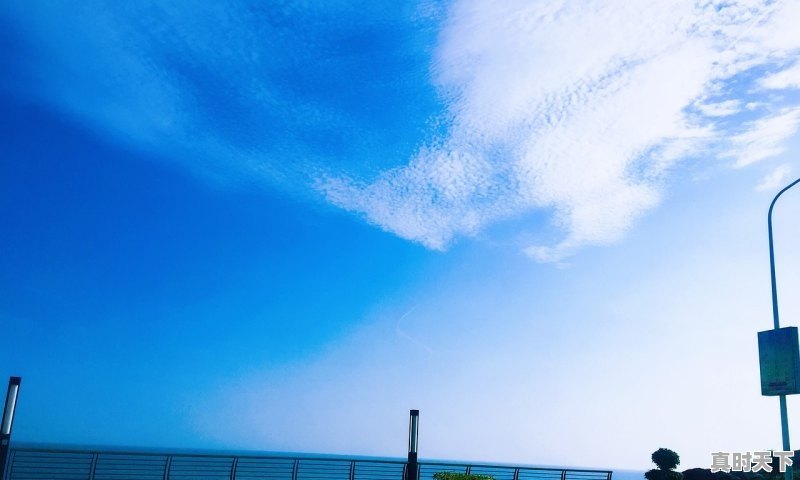 1、合肥未来科技城的项目中止了吗_合肥发展是因为国家实施什么政策 - 真时天下