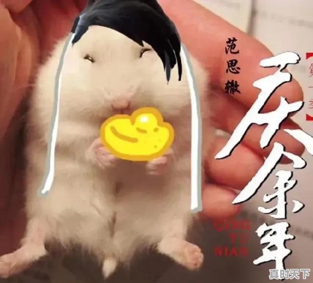 吃过最恶心的东西是什么,吉林榆树今日生猪价格 - 真时天下