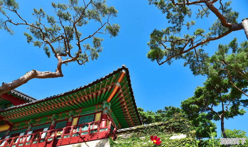 中秋节能去泰州旅游吗,黄桥天气 - 真时天下