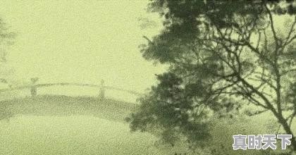 1、2020年春节上映的电影,2020春节档最新电影 - 真时天下