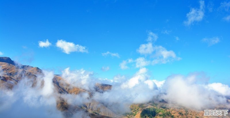 1、平顶山温度多高,平顶山天气15天 - 真时天下