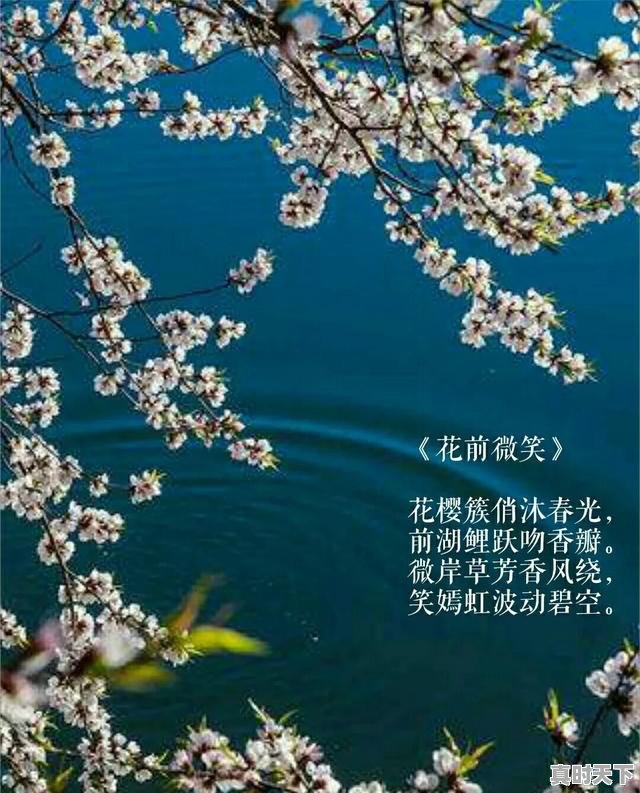 企业如何推动科技创新，我们应该如何推动科技创新发展 - 真时天下