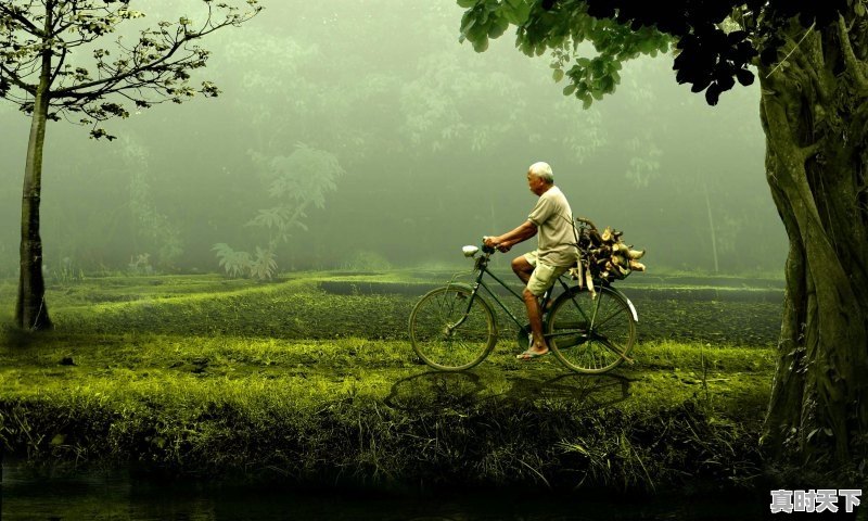 灵丘桃花山景区最佳观赏时间_灵丘车河住宿攻略 - 真时天下