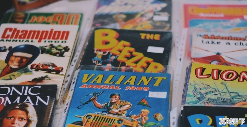 1、美国电影票房排行榜前十名,外国动漫推荐电影大全排名榜 - 真时天下